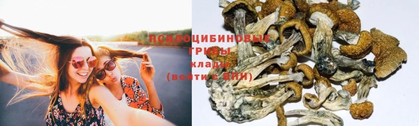 ECSTASY Заводоуковск
