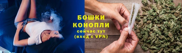 ECSTASY Заводоуковск