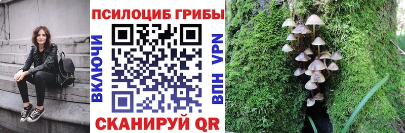 Галлюциногенные грибы мухоморы  Заозёрск 