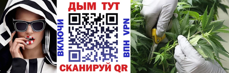 Шишки марихуана OG Kush  Заозёрск 